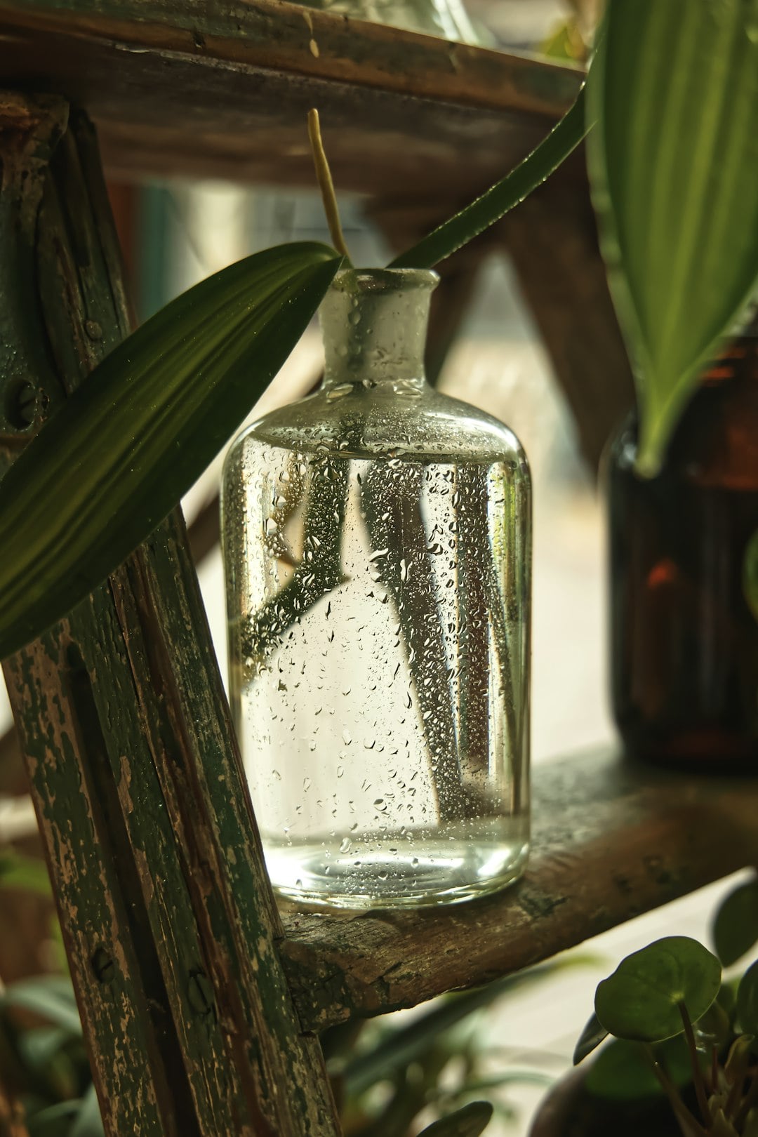 Natural oil in a glass bottle, photo by gryffyn m on Unsplash